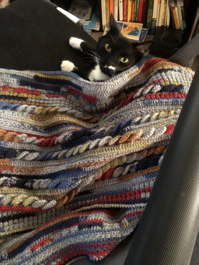 tuxedo cat looking up, sitting under a gray and colorful blanket