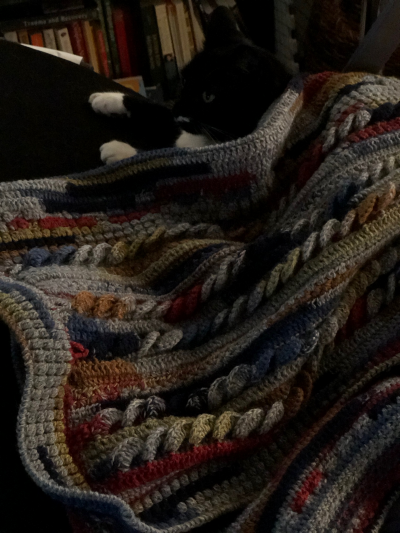 darker image of cat looking aside, under colorful and grey blanket, all cozy like.