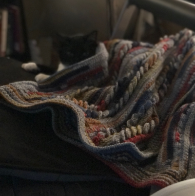 a misty showcase of the blanket's ripples, with the tuxedo cat looking dead ahead, face half-covered by banky and out of focus.